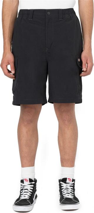 Actual product image Dickies Jackson Cargo Shorts (L)