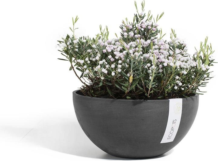 Produktbild Ecopots Brussels (25 cm)