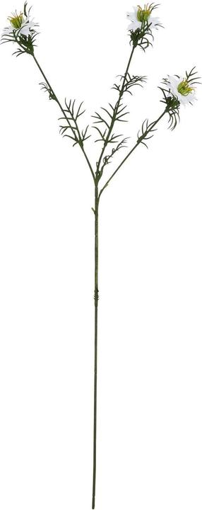Image du produit Hill Interiors - Fleur artificielle THE NATURAL GARDEN COLLECTION LOVE IN A MIST (9 cm)