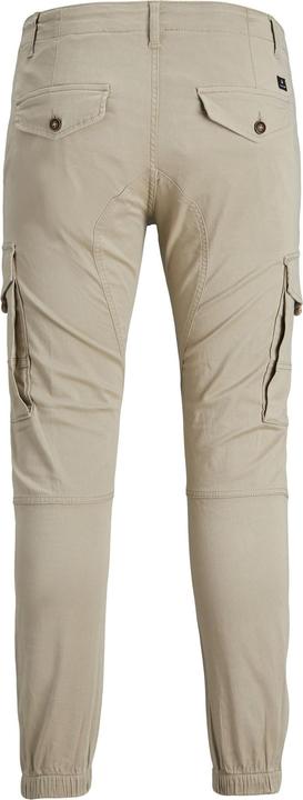 Image du produit Jack & Jones Paul Flake AKM 542 Pantalon Cargo Plus Size (42)