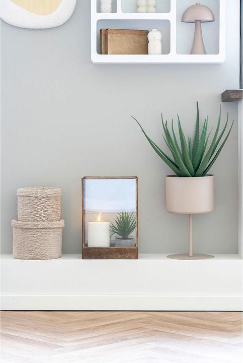 Produktbild House Nordic Aloe (51 cm)