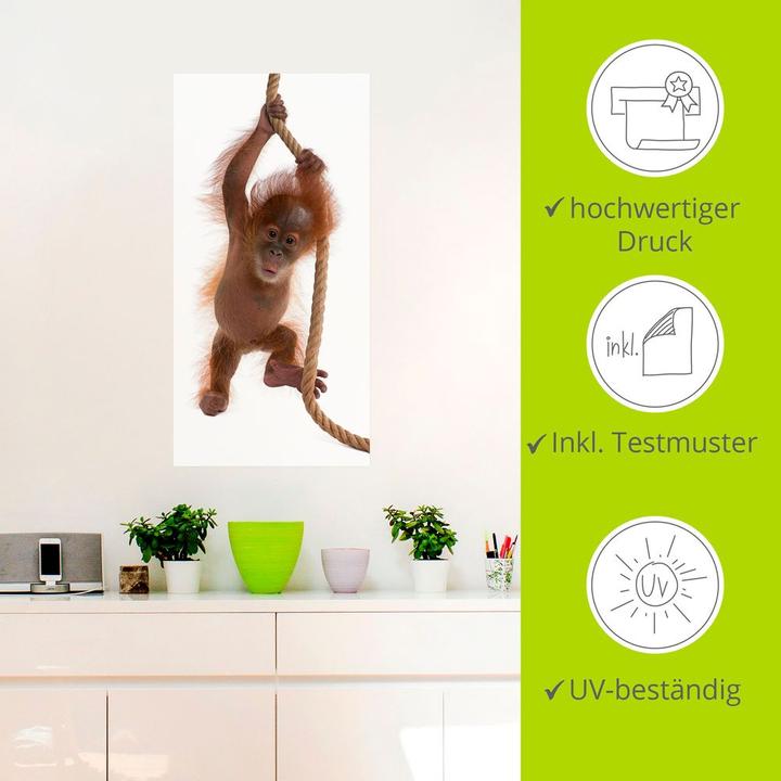 Produktbild Artland Baby Orang Utan hängt am Seil I T5RI (20 x 40 cm)