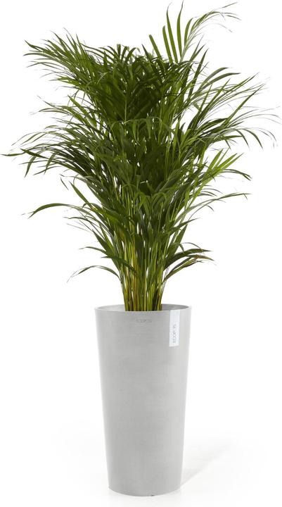 Produktbild Ecopots Amsterdam halbhoch (66 cm)