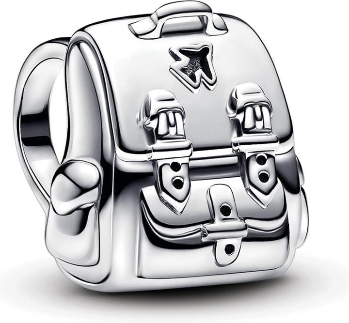 Actual product image Pandora Moments (Silver 925)