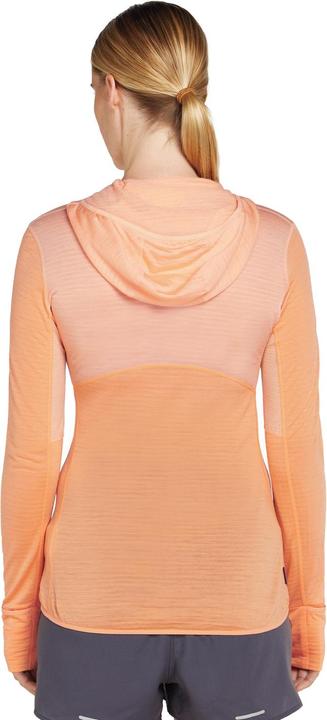 Produktbild Icebreaker Women Merino Mer 200 Realfleece Descender LS Zip H (M)