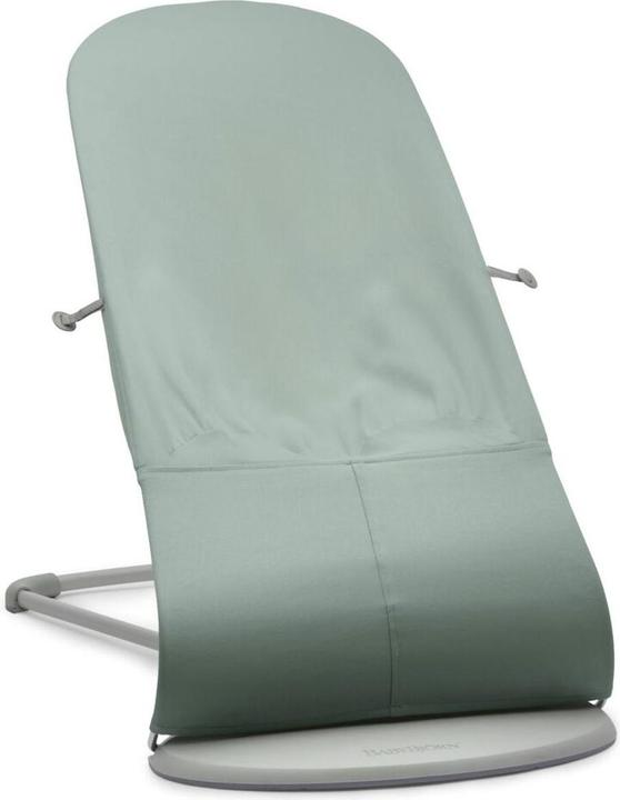 Actual product image BabyBjörn Balance Soft