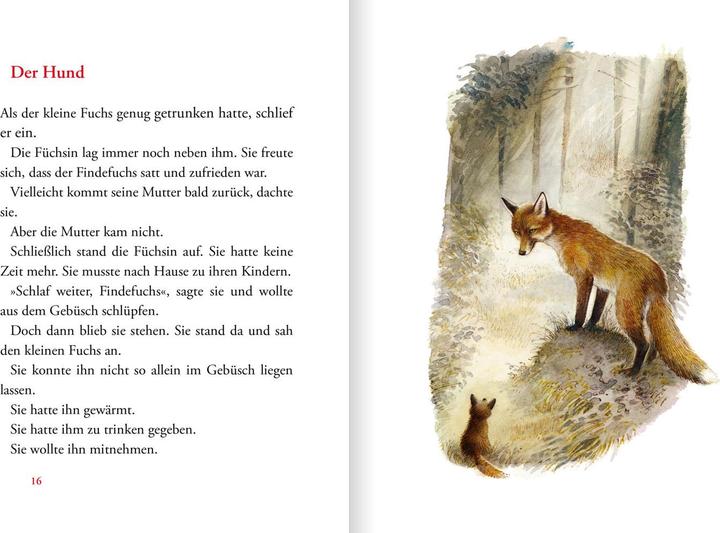 Immagine prodotto Der Findefuchs (Tedesco, Irina Korshunov, 2021)