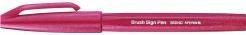 Immagine prodotto Pentel Pinselstift (Fico, 1 x)