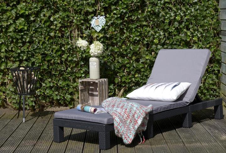 Produktbild Allibert Daytona Sunlounger (195 cm)
