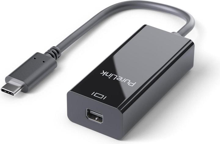 Actual product image Purelink IS211 (Mini DP, 19 cm)