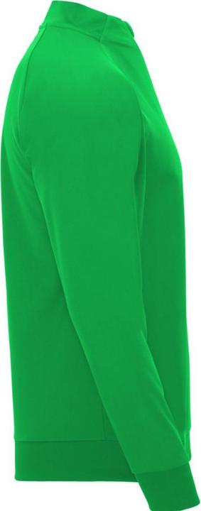 Actual product image Alpinia Childrens/Kids Epiro Quarter Zip Long-Sleeved Sweatshirt (152)