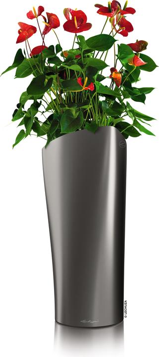 Produktbild Lechuza Delta Gefäss (39 cm)