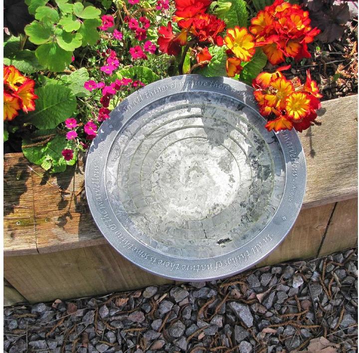 Actual product image Wildlife World Oasis bird bath 30 x 30 x 5.5 cm