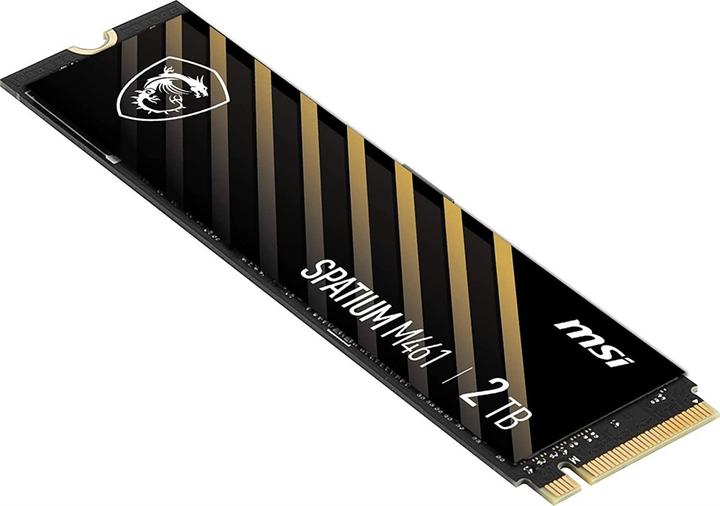 Actual product image MSI Spatium M461 (2000 GB, M.2 2280)