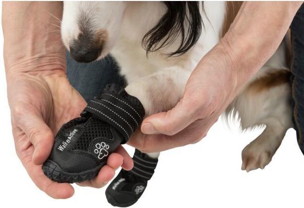 Produktbild Trixie Walker Active (XS, Hundeschuhe)