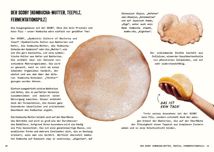 Actual product image Kombucha do it yourself (German, Julie Ponge, 2023)