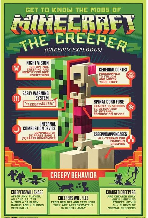 Produktbild Minecraft Poster Creeper (61 x 91 cm)