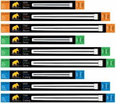 Image du produit Mammoth Ampoule 36 watts 2700 kelvins (LED, 230 V)