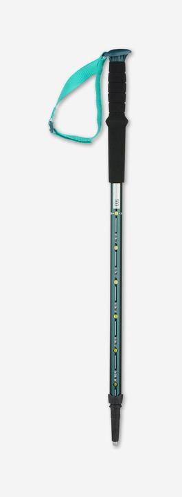 Actual product image Quechua 1junior hiking pole 303515