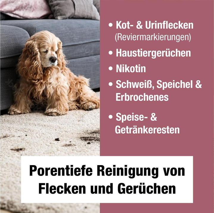 Produktbild Bio-chem Geruchs- und Fleckenentferner
