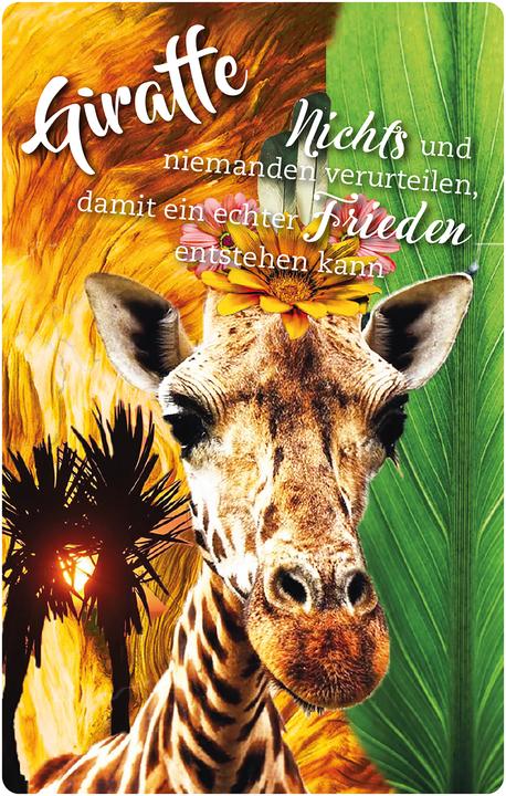 Produktbild Krafttier-Orakelkarten (Deutsch, Eva Katharina Junge, 2021)