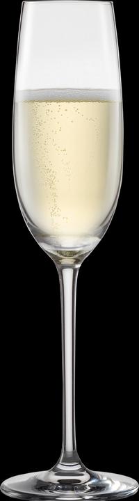 Actual product image Schott Zwiesel Champagne glass Vinos 7 4 pieces (25.40 cl, 4 Glasses, Champagne glasses)