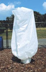 Actual product image Bio Green Jumbo