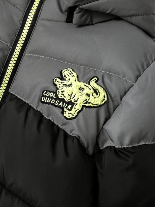 Actual product image Name it Dinosaur Padded Jacket (98)