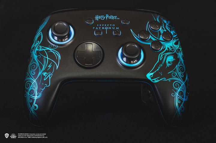 Actual product image Freaks and Geeks Harry Potter (Switch, PC)