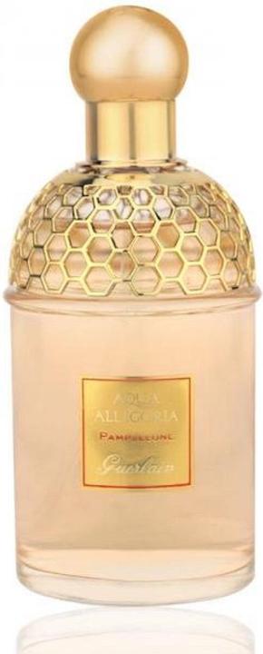 Guerlain Pamplelune