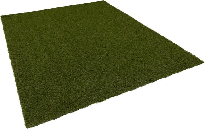 Image du produit Snapstyle Tapis de gazon (1 x, 200 x 50 cm)