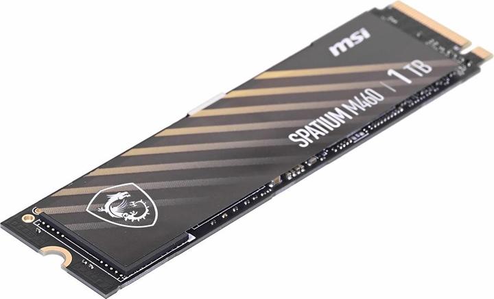Productafbeelding MSI Spatium M460 (1000 GB, M.2 2280)