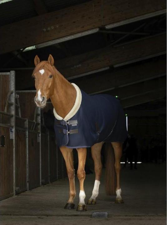 Equi-thème EQUITHÈME Teddy Mesh Pferdedecke (145 cm)