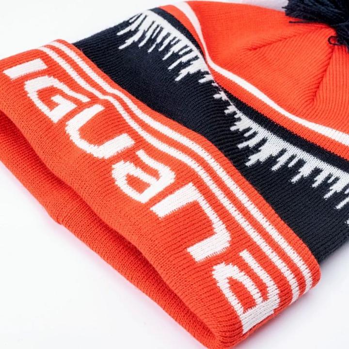 Actual product image Iguana Other cap
