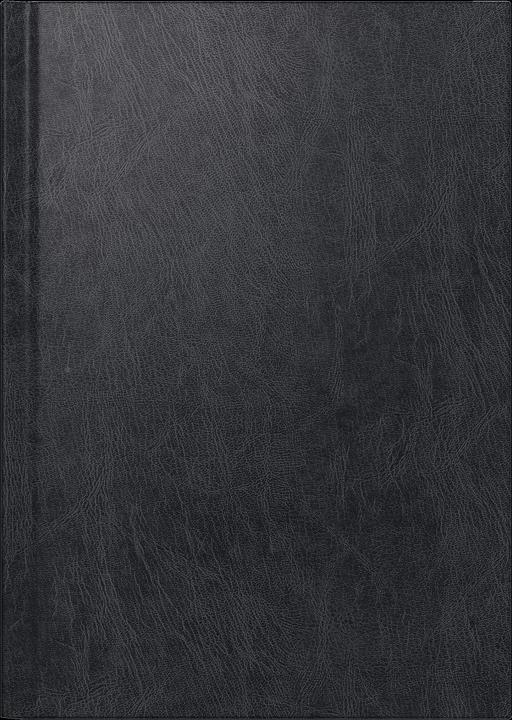 Actual product image Rido Book calendar executive planner black (Hardcover)