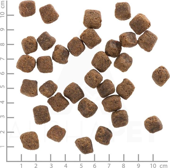 Image du produit Wolfsblut Nourriture sèche Dog Black Bird Adult, 12.5 kg (Adulte, 1 pcs, 12500 g)