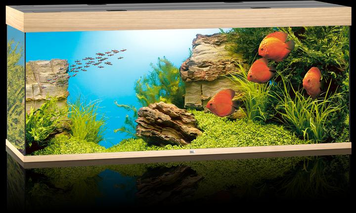 Actual product image Juwel Aquarium Rio (450 l)