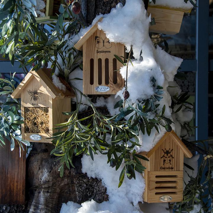 Actual product image Esschert Design Ladybird house with silhouette (Ladybirds)