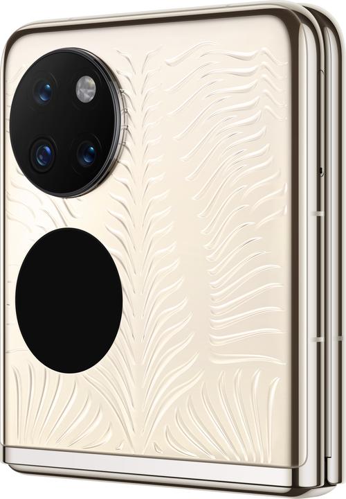 Produktbild Huawei P50 Pocket (512 GB, Premium Gold, 6.90", Dual SIM, 40 Mpx, 4G)