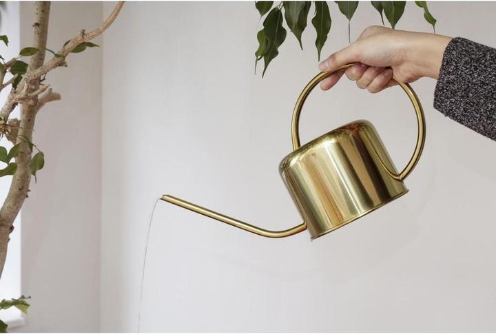 Actual product image Kikkerland Vintage Watering Can (1.20 l)