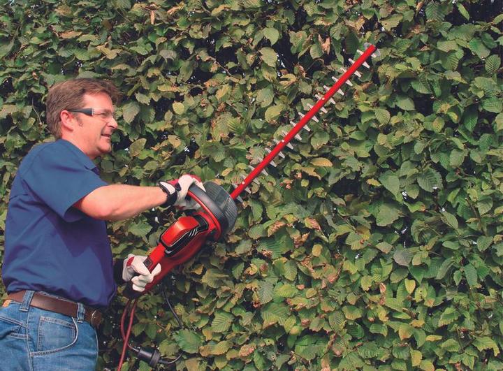 Actual product image Einhell Gc-Eh 6055/1 (Electric hedge trimmer)