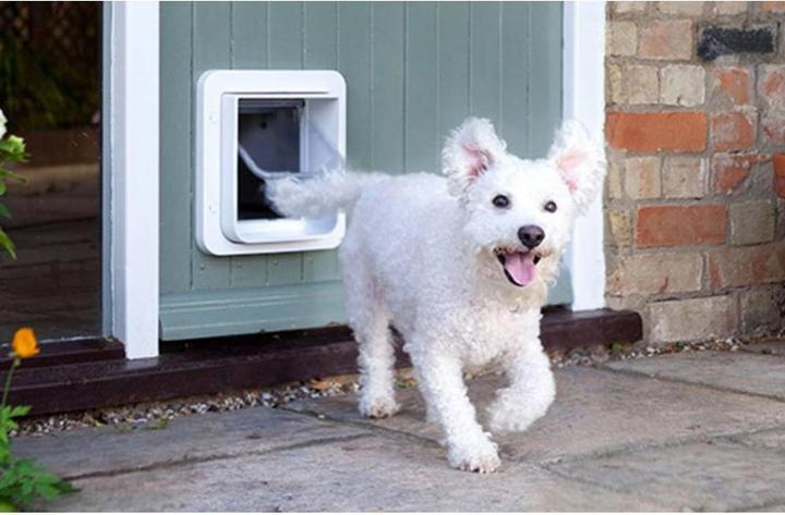 Actual product image SureFlap Pet flap microchip (Microchip Cat Flap)