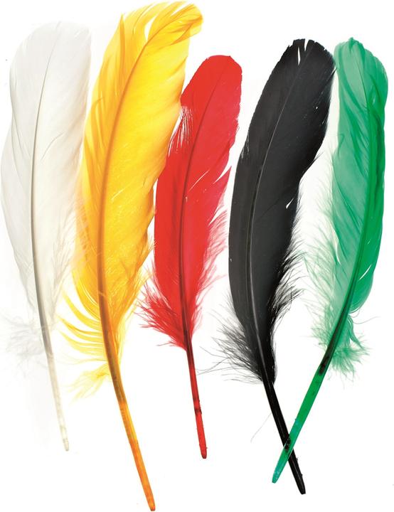 Actual product image Glorex Indian feather 16cm ca.15pcs mix