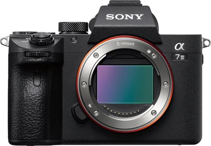 Immagine prodotto Sony Alpha 7 III Kit (28 - 70 mm, 24.20 Mpx, Full frame / FX)