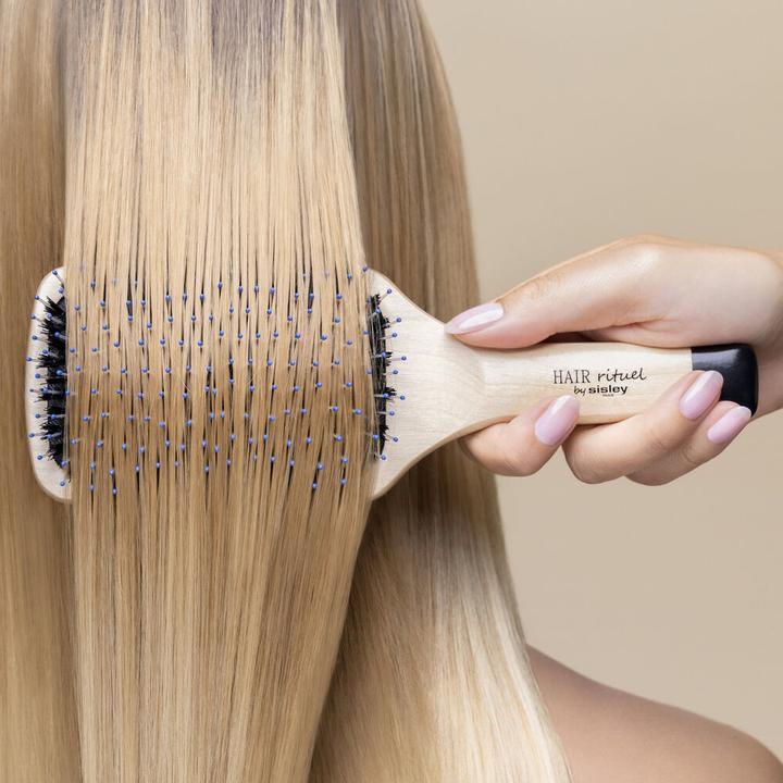Actual product image Sisley La Brosse Brillance & Douceur