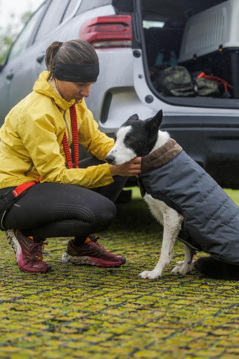 Image du produit Solognac Gilet pour chien gris chaud (S, Gilet pour chien)