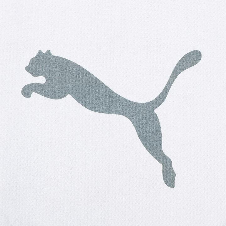 Produktbild Puma Microfiber Players Towel