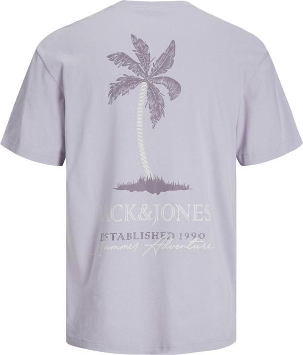 Produktbild Jack & Jones Jjsummer Vibes Tee Ss Crew Neck Ln (S)