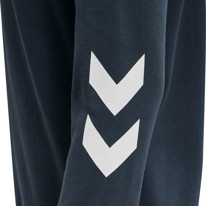Actual product image hummel Legacy Zip Hoodie (M)