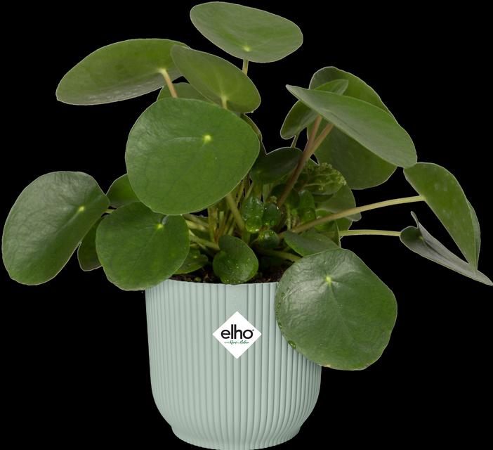 Image du produit Elho Vibes Fold Rond Mini (9.30 cm)